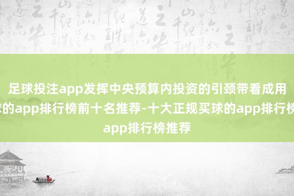 足球投注app发挥中央预算内投资的引颈带看成用-买球的app排行榜前十名推荐-十大正规买球的app排行榜推荐