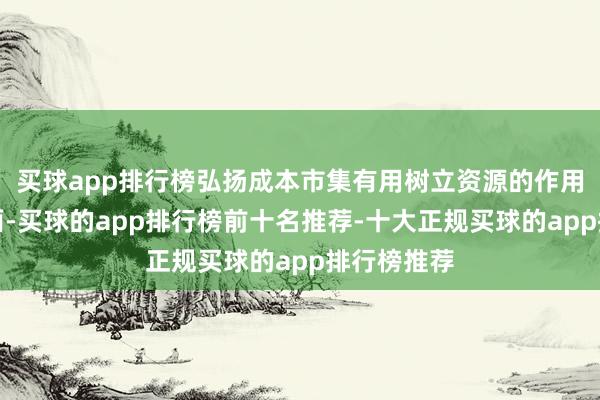 买球app排行榜弘扬成本市集有用树立资源的作用；另一方面-买球的app排行榜前十名推荐-十大正规买球的app排行榜推荐