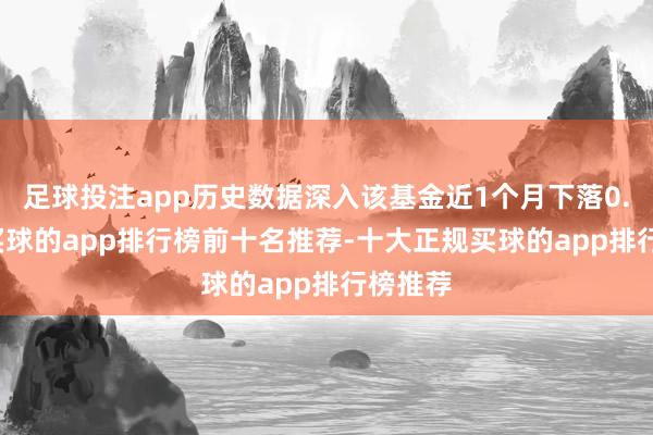 足球投注app历史数据深入该基金近1个月下落0.12%-买球的app排行榜前十名推荐-十大正规买球的app排行榜推荐