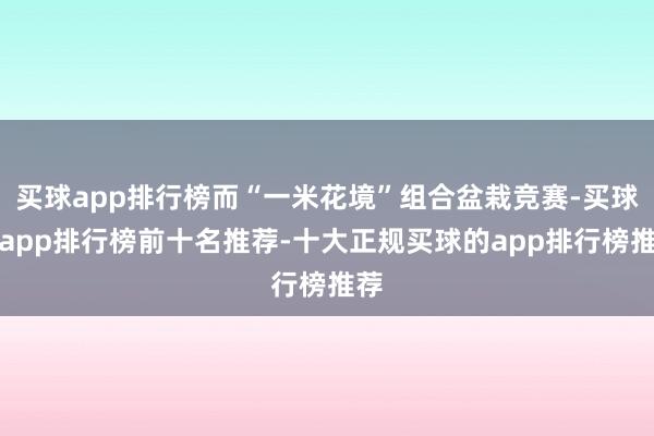 买球app排行榜而“一米花境”组合盆栽竞赛-买球的app排行榜前十名推荐-十大正规买球的app排行榜推荐