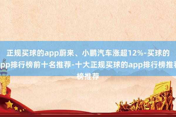 正规买球的app蔚来、小鹏汽车涨超12%-买球的app排行榜前十名推荐-十大正规买球的app排行榜推荐