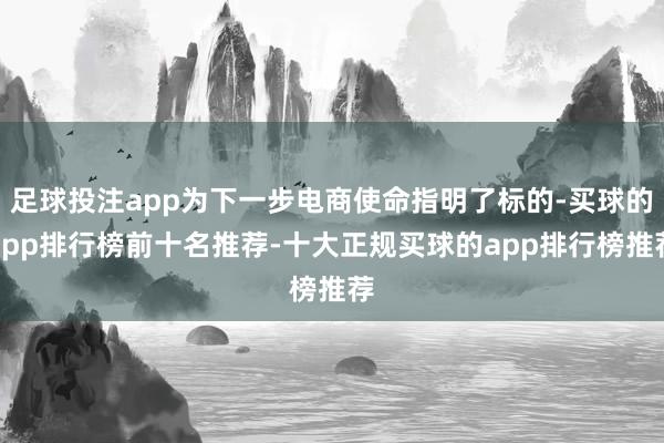 足球投注app为下一步电商使命指明了标的-买球的app排行榜前十名推荐-十大正规买球的app排行榜推荐